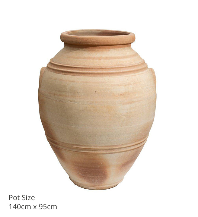 Pot Eva