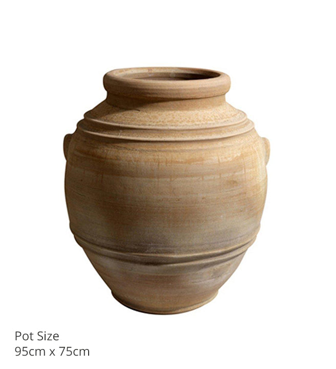 Pot Eva