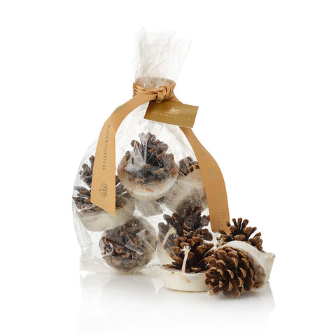 Kindle Cones Bag of 6