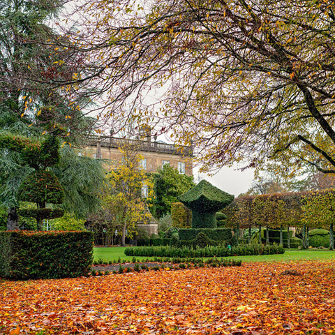 **Sold Out** Group Autumn Walk for Coach Parties & Tour Operators