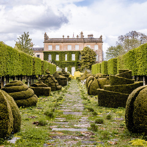 Highgrove Garden Tour